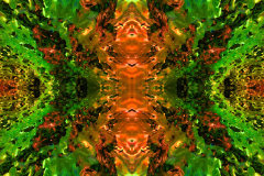 Colors33C_upscale-scaled