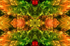 Colors35C_upscale-scaled