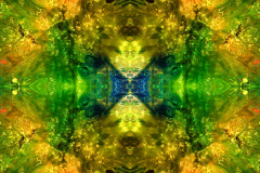 Colors38A_upscale-scaled