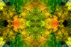 Colors38C_upscale-scaled