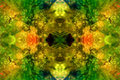 Colors38D_upscale-scaled