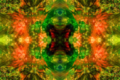 Colors41A_upscale-scaled