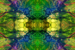 Colors42C_upscale-scaled