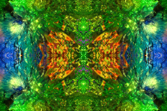 Colors44D_upscale-1-scaled