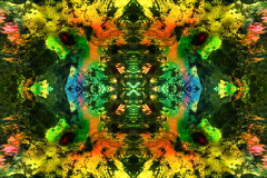 Colors48C_upscale-scaled