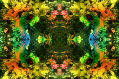 Colors48D_upscale-scaled