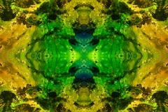 Colors50A_upscale-scaled