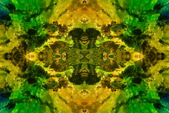 Colors50C_upscale-scaled