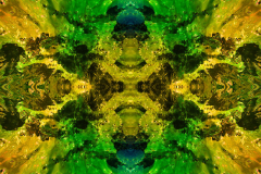 Colors50D_upscale-scaled