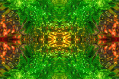 Colors52A_upscale-scaled