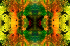 Colors53A_upscale-scaled