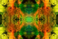 Colors53D_upscale-scaled