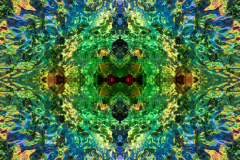 Colors55C_upscale-scaled