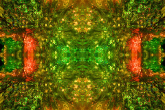 Colors59B_upscale-scaled