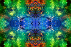 Colors60D_upscale-scaled