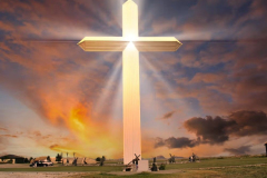 99039704a9883e88fd6a28650aa42f5d